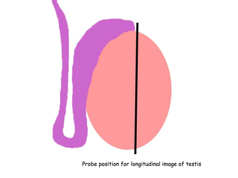 1648005348476919.png 1648005348476919.png