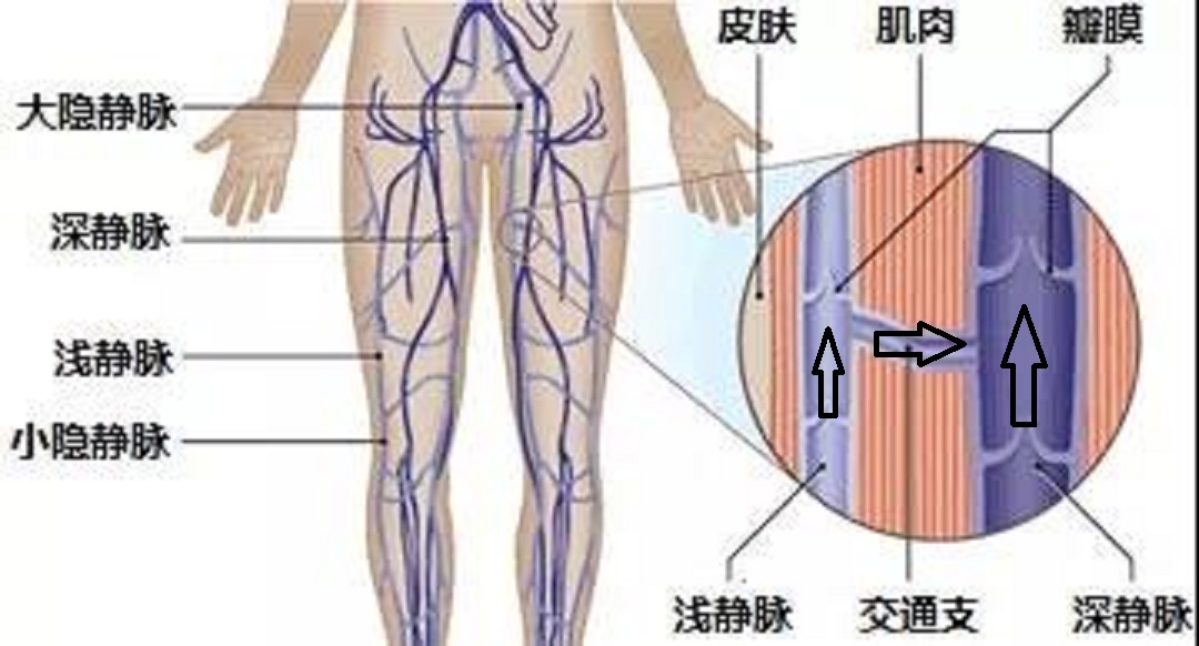 1650592697409875.png 1650592697409875.png