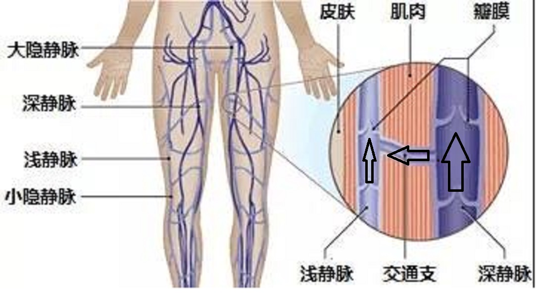 1650592717422264.png 1650592717422264.png