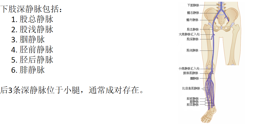 1650593043518732.png 6.png