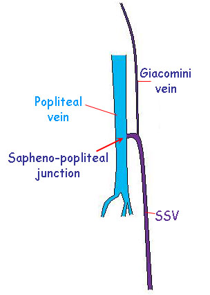 1650593124301672.png 图片6.png